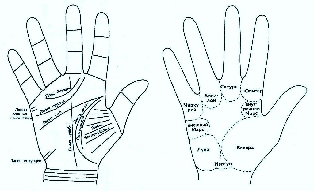 Судьба по ладони описание с рисунками